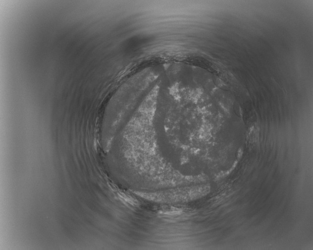 X0000058760772200510281917