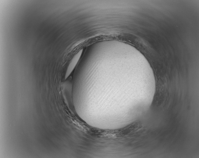 X0000058760773200510281917