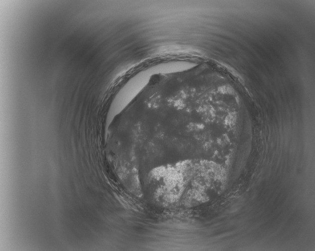 X0000058760775200510281917