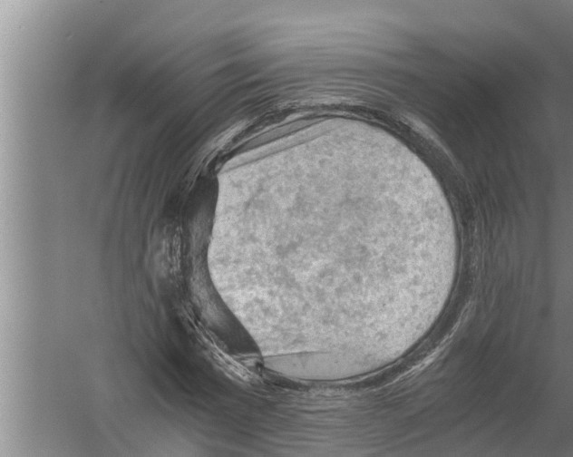 X0000058760777200510281917