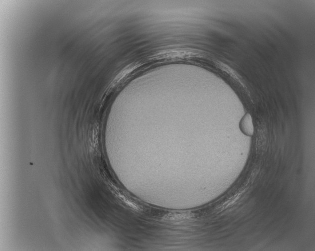 X0000058760778200510281917