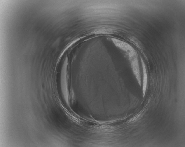 X0000058760779200510281917