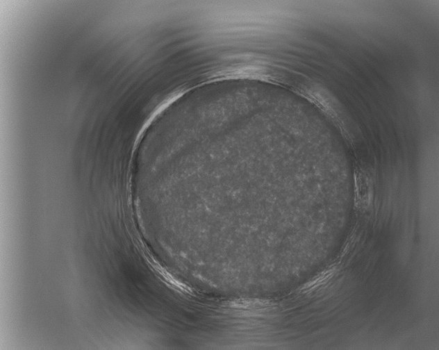 X0000058760780200510281917