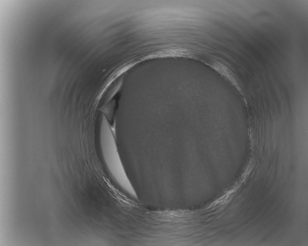 X0000058760781200510281917