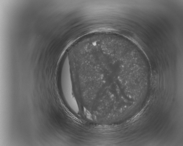 X0000058760783200510281917