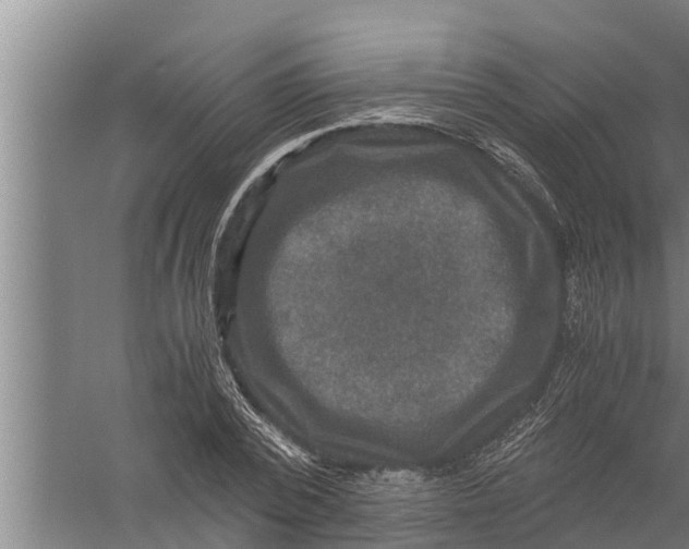 X0000058760784200510281917