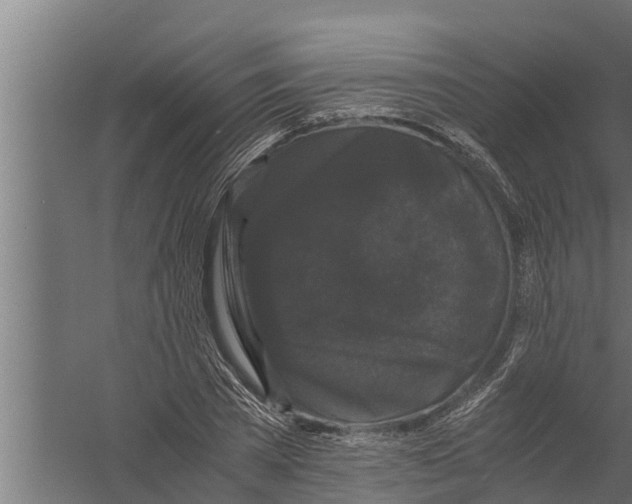 X0000058760785200510281917