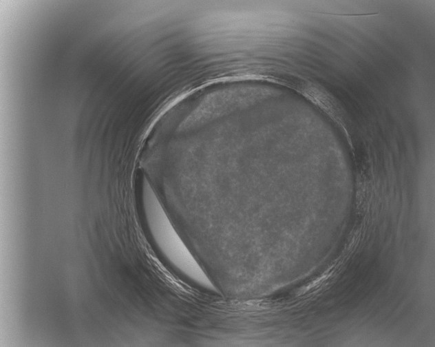 X0000058760789200510281917