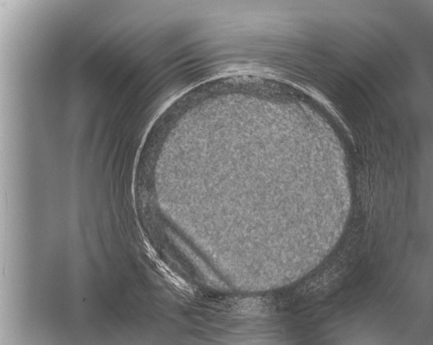 X0000058760791200510281917