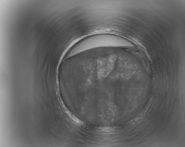 X0000058760792200510281917