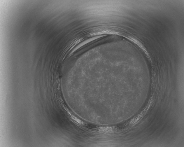 X0000058760793200510281917