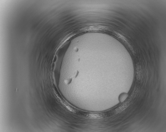 X0000058760794200510281917