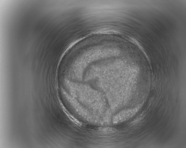 X0000058760795200510281916