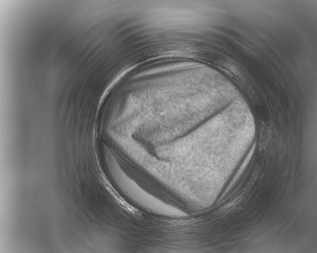 X0000058760796200510281916