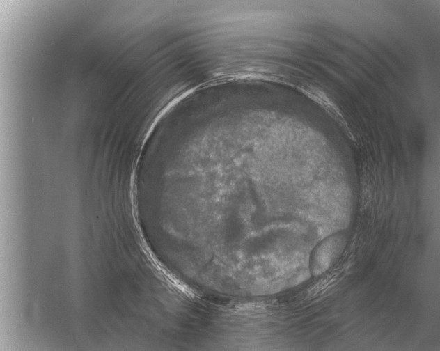 X0000058760798200510281916