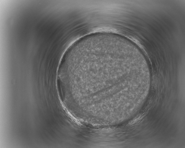 X0000058760799200510281916