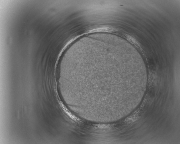 X0000058760800200510281916