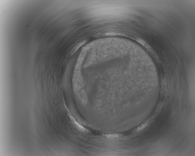 X0000058760801200510281916