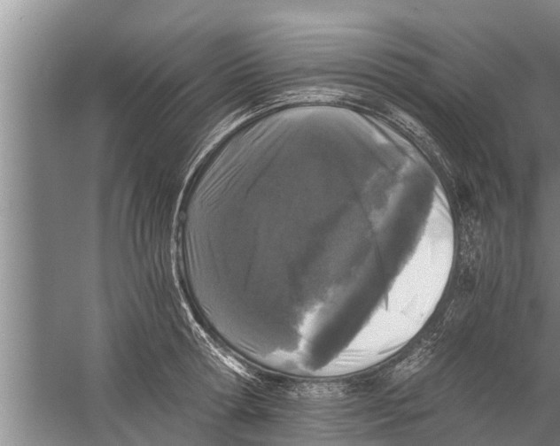 X0000058760802200510281916