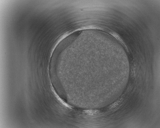 X0000058760805200510281916