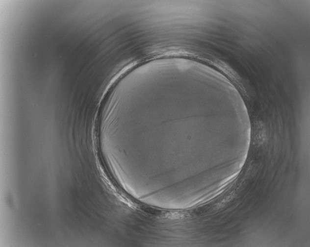 X0000058760806200510281916