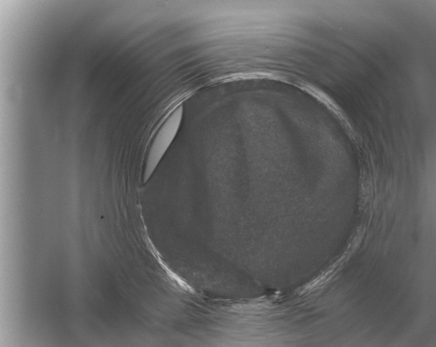 X0000058760809200510281916