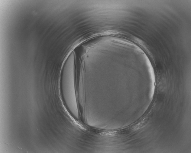 X0000058760810200510281916