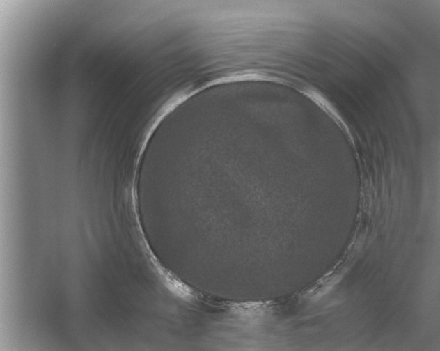 X0000058760813200510281916