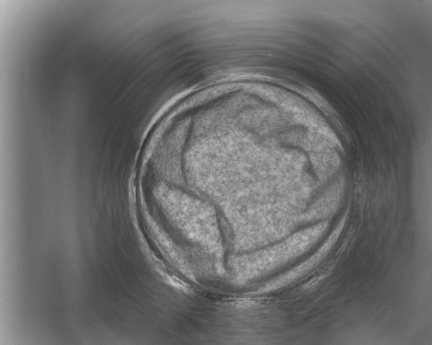 X0000058760814200510281916