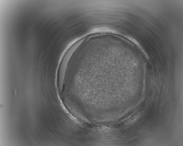 X0000058760815200510281916