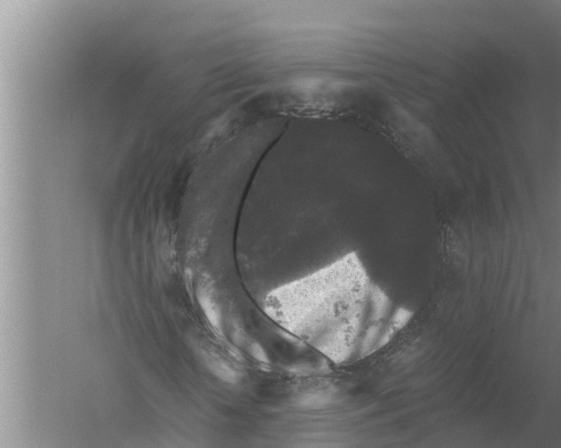 X0000058760818200510281915