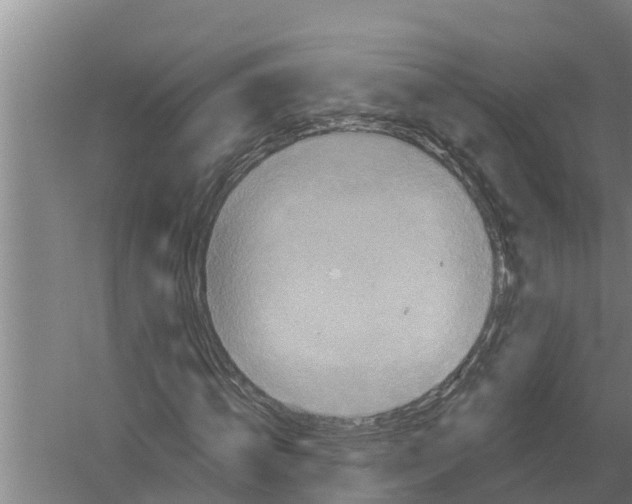 X0000058760820200510281915