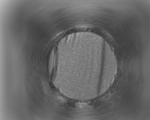 X0000058760821200510281915