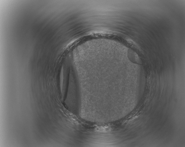 X0000058760822200510281915