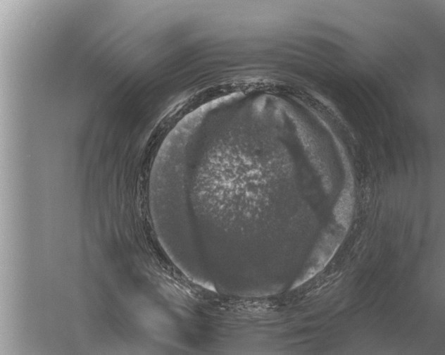 X0000058760823200510281915