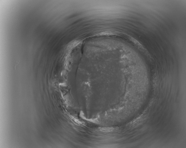 X0000058760825200510281915