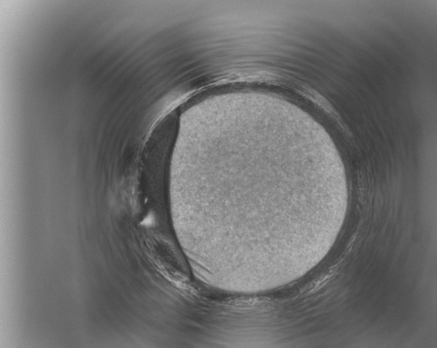 X0000058760826200510281915