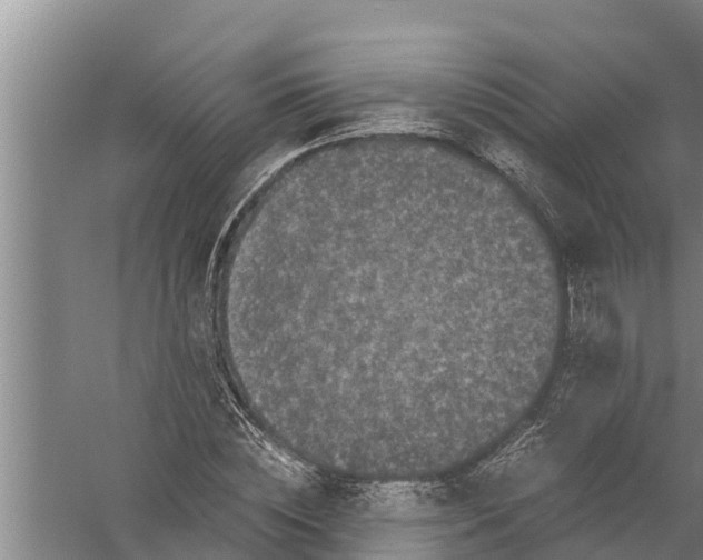 X0000058760828200510281915