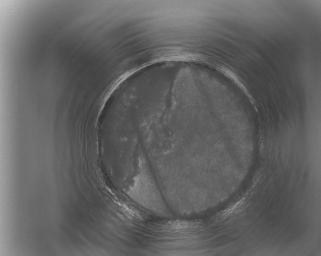 X0000058760829200510281916