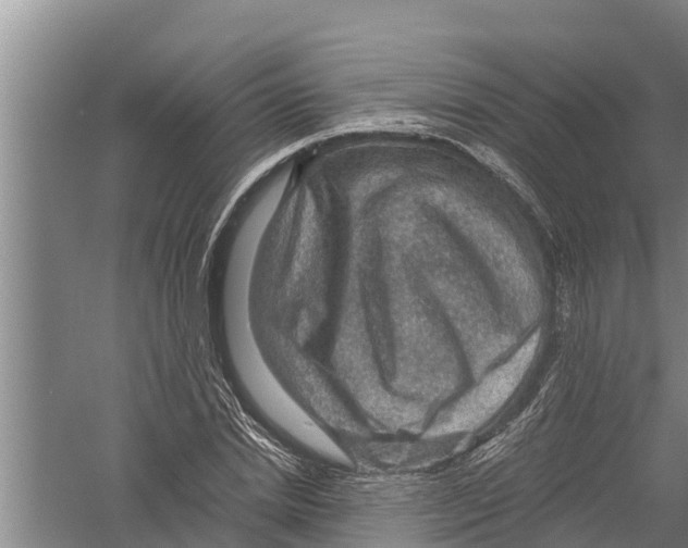 X0000058760830200510281916