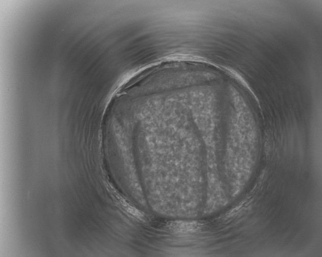 X0000058760831200510281916