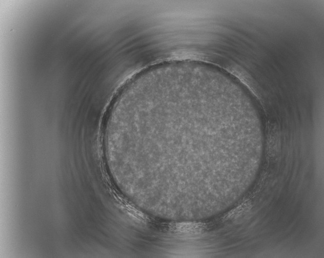 X0000058760832200510281916