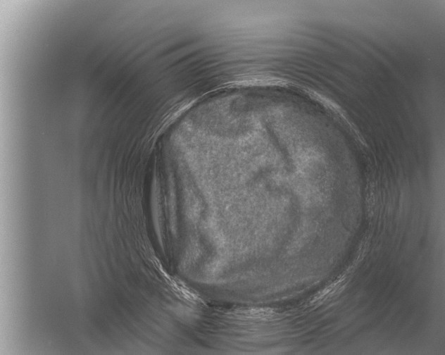 X0000058760833200510281916