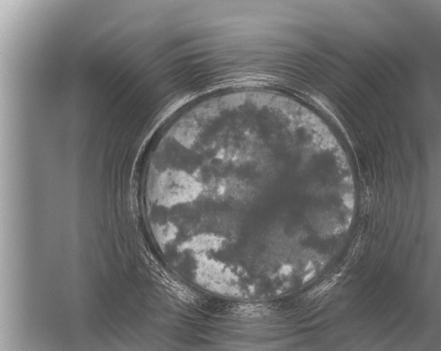 X0000058760835200510281916