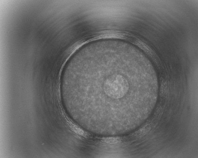 X0000058760836200510281916