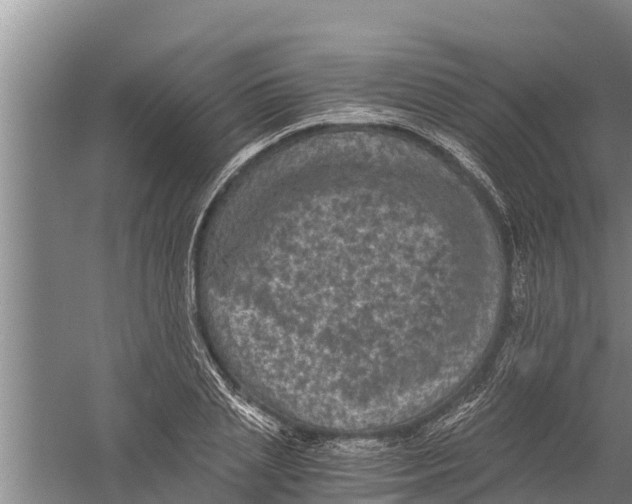 X0000058760837200510281916