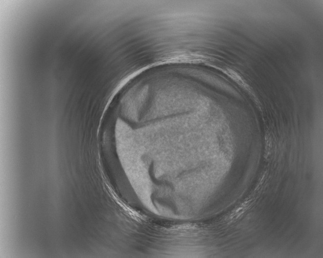 X0000058760838200510281916