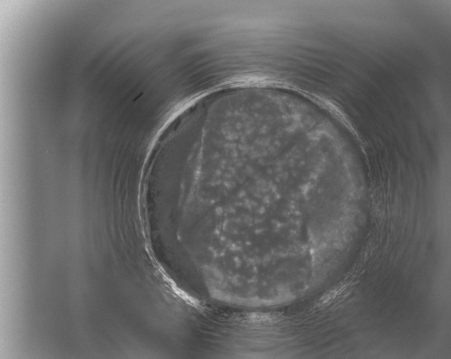 X0000058760839200510281916