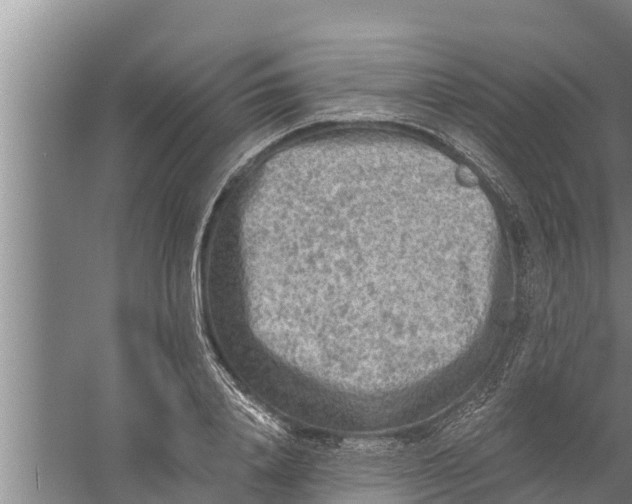 X0000058760840200510281916