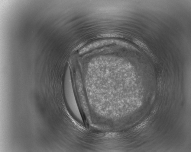 X0000058760841200510281916